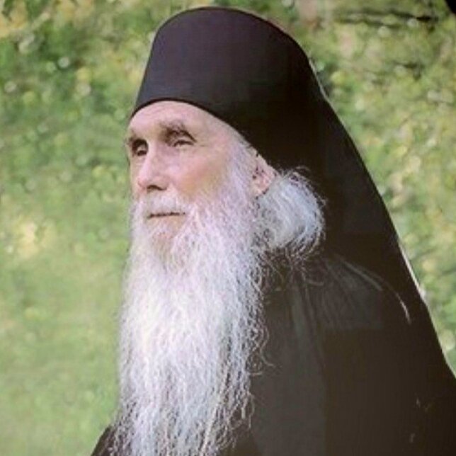 андрей ворона старец. увидеть старца. старец иосиф исихаст. архимандрит кирилл бородин. иосиф исихаст.