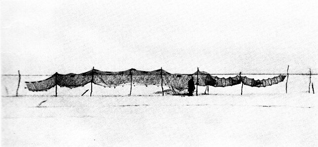 Рюжа. Алеев В.Р. Промысел наваги и сельди по Онежскому и Кемскому берегам Белого моря зимою 1912 г.