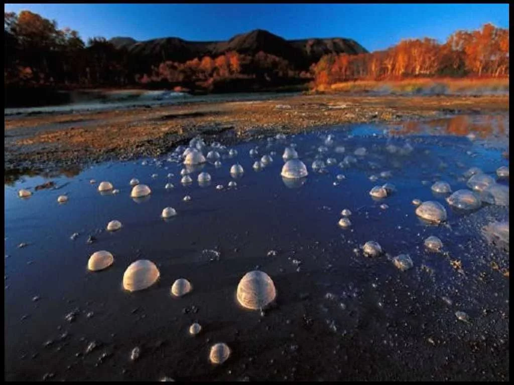 Метан болотный ГАЗ. Пузырьковые гейзеры. Озеро с гигантскими пузырями. Метан в природе.