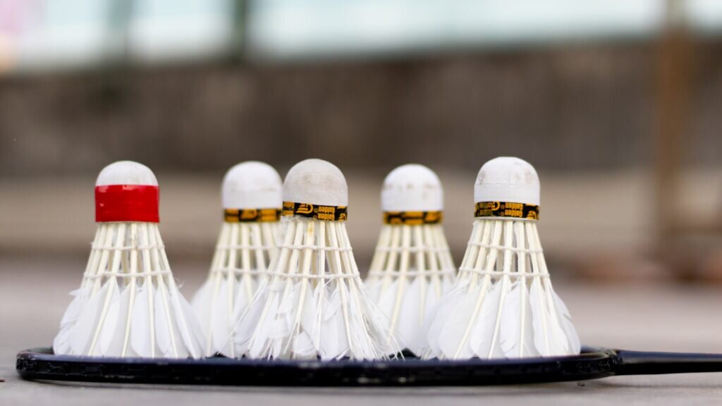 Фото: Salman Hossain Saif/Unsplash