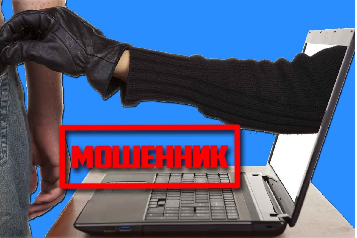 Яндекс Картинки