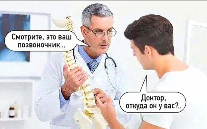 Смешной демотиватор про устройство позвоночника.