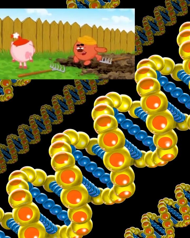 Молекула ДНК и Копатыч на граблях. Коллаж автора
