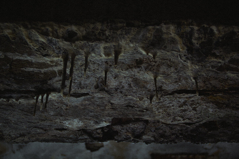 Фото: Александр Моргунов