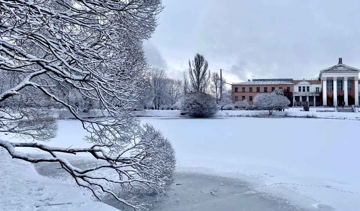 Главный ботанический сад им. Н.В Цицина РАН. Источник https://smartik.ru/moskva/post/128533674