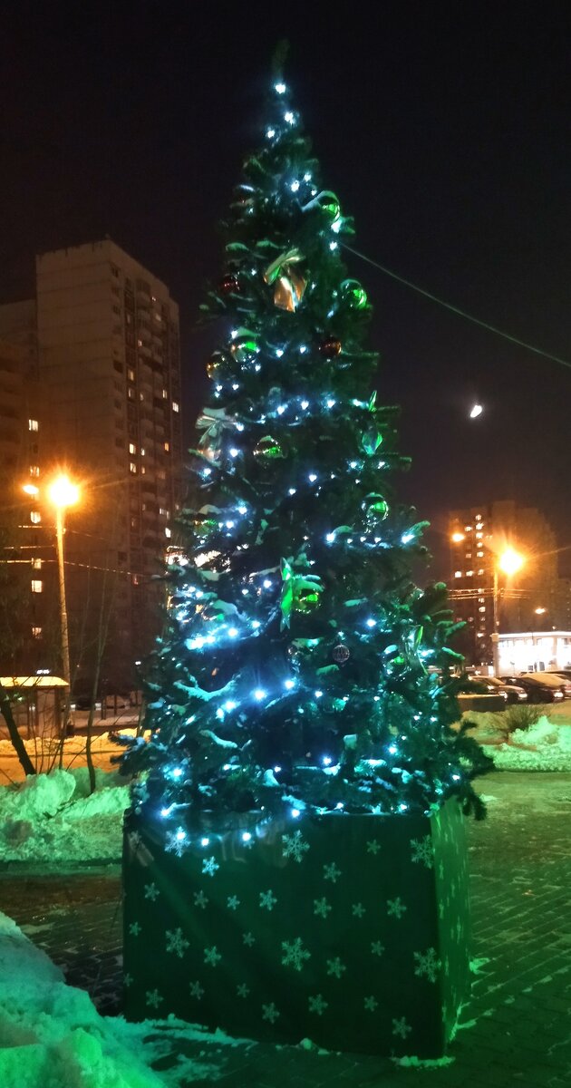 Новогодняя ёлка у "зелёного" магазина в Отрадном. Прогулка моя. Фото моё. 