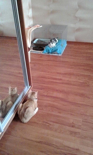 На передержке