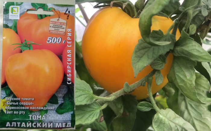 урожайный парадокс