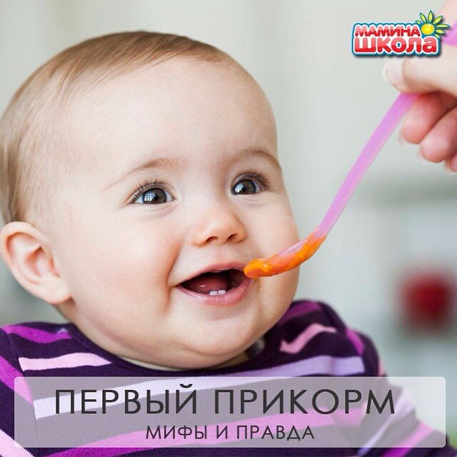 Первый прикорм. Мифы и правда