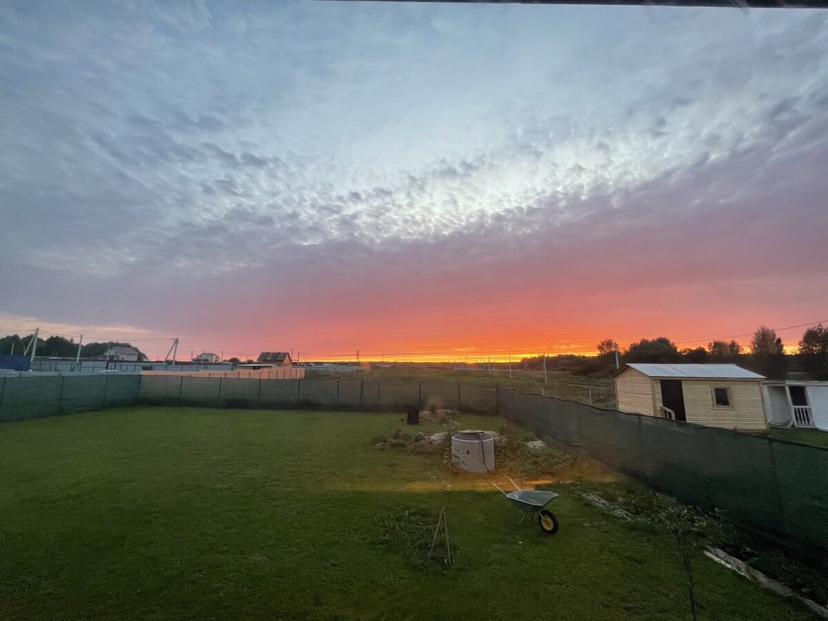 Летняя красота