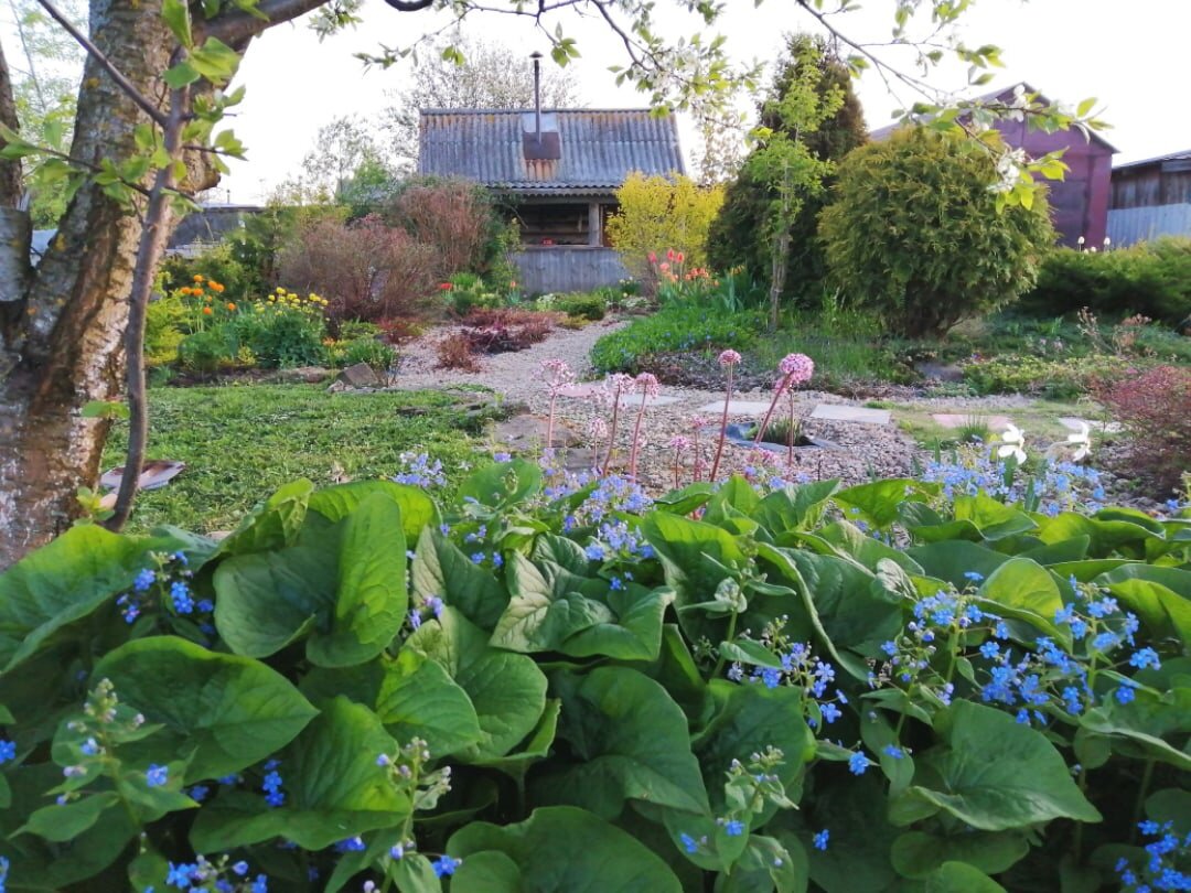 Наш сад весной