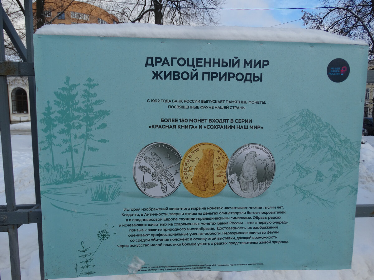 Выставка «Драгоценный мир живой природы», Тамбов