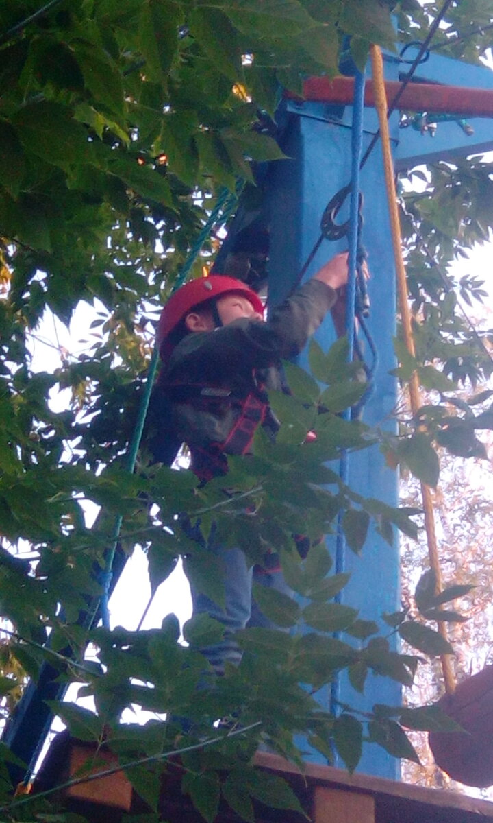 Ребят, где вы берёте фотографии своих взрослых детей? Воруете у них или они вам сами их дают? Просто я уже близка к тому, чтобы начать воровать))