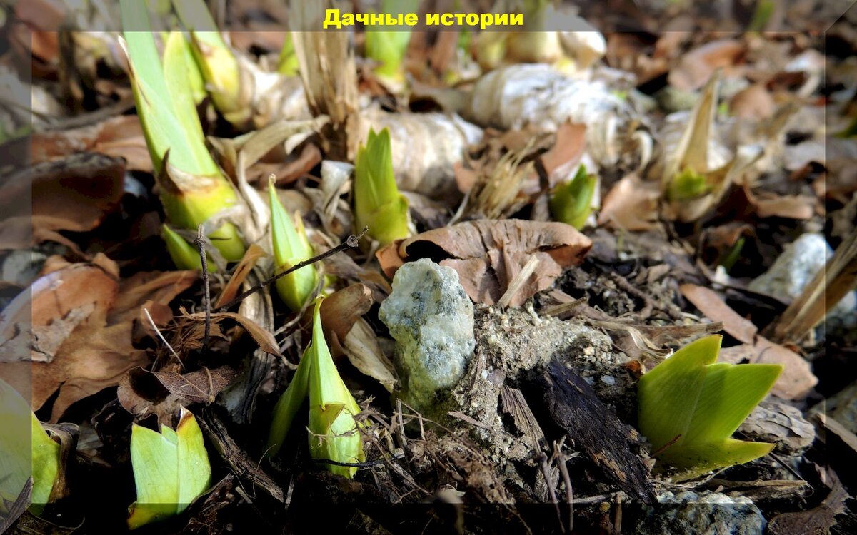 https://vk.com/photo-159774511_457252024