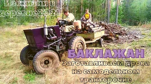 Постников В.: Карандаш и Самоделкин в деревне Козявкино