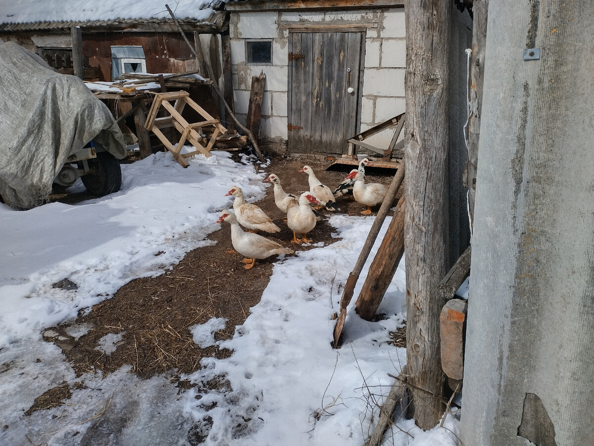 Вышли на прогулочку