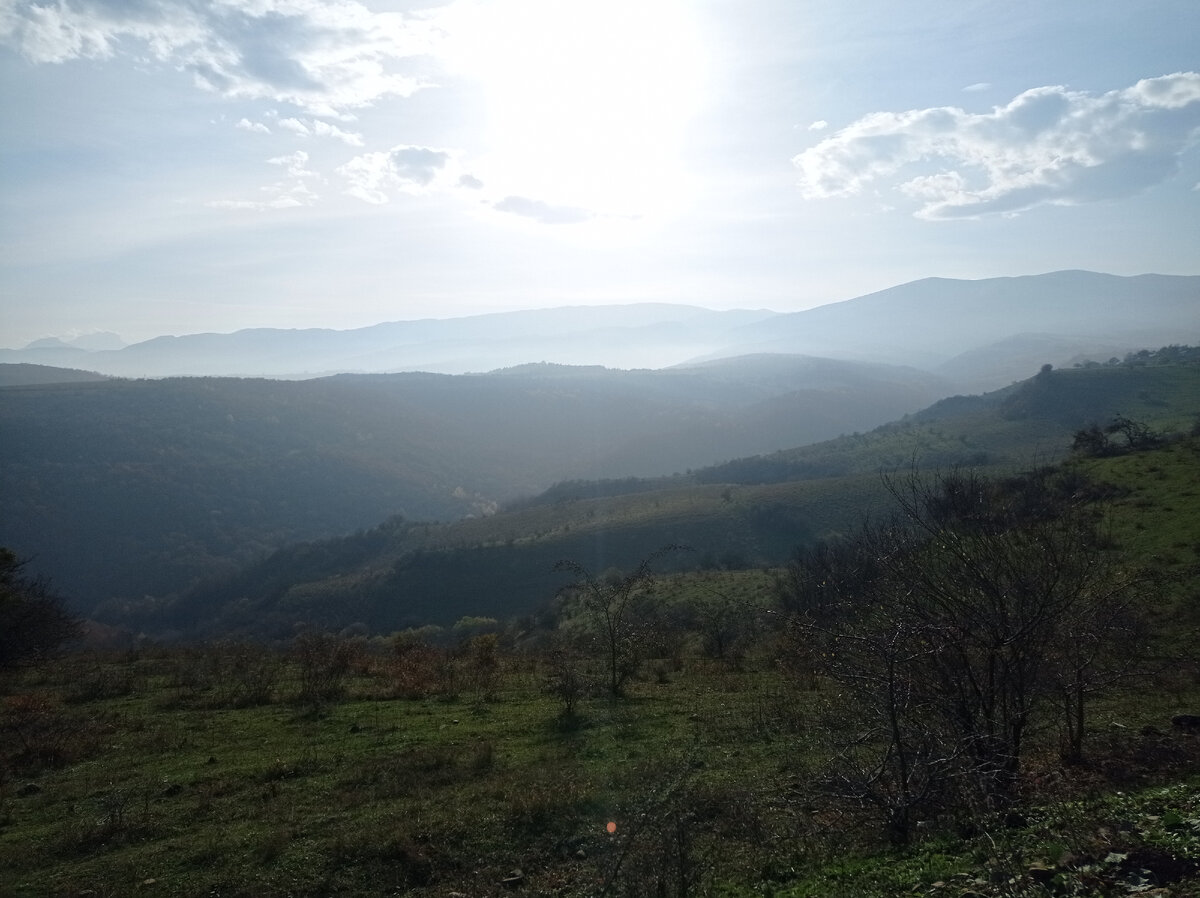 Одиннадцатая поездка в Дагестан. Возвращение в Самурский лес.  Бильбиль-Казмаляр. | Заяц Путешественница | Дзен