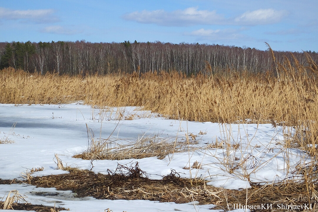 Лёд ещё не растаял. Вдали летала одна пара чибисов.