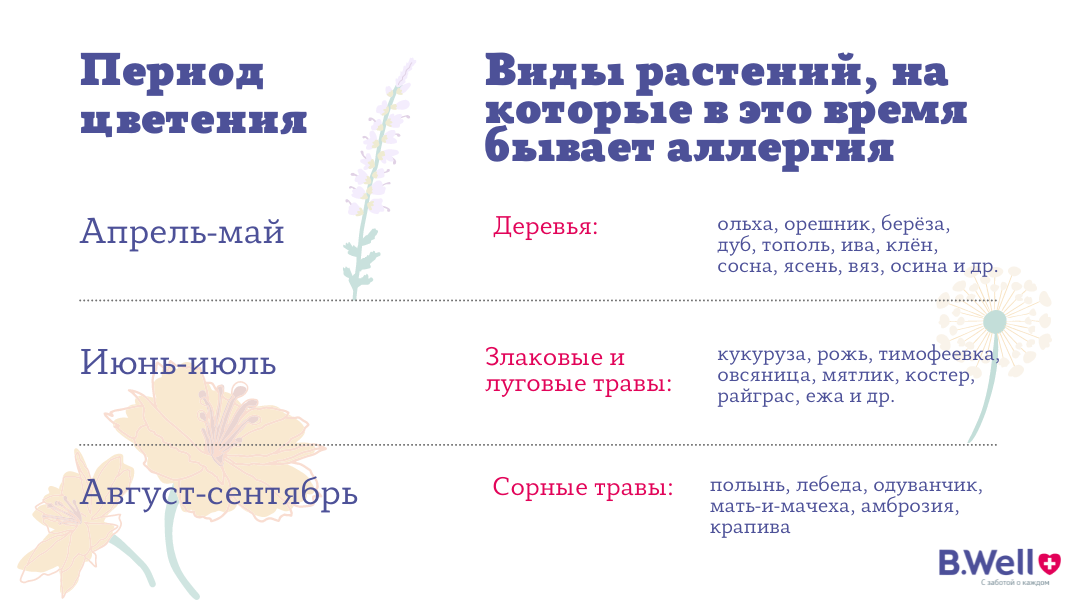 Сезонность аллергии на пыльцу 