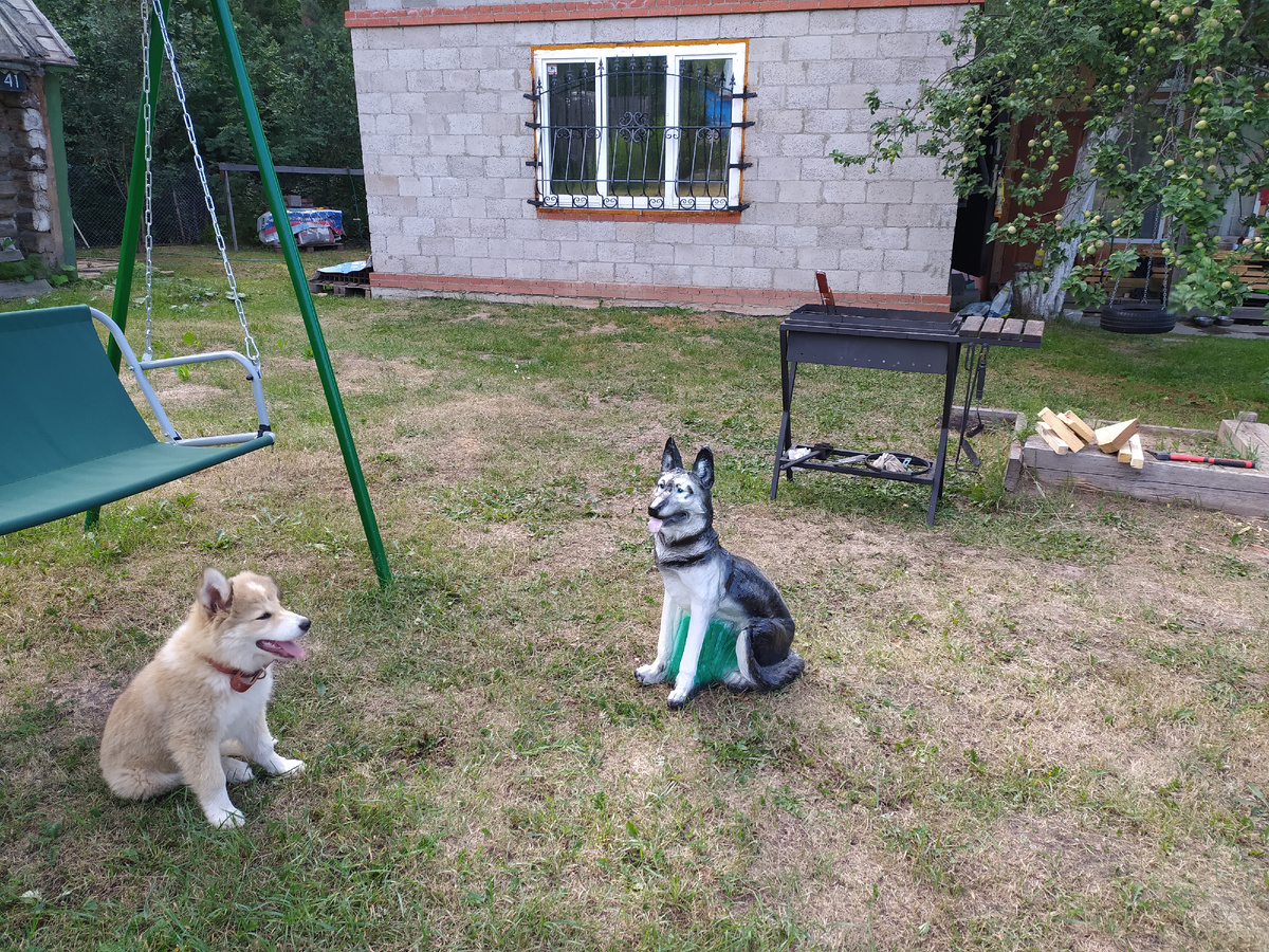 Керамический друг Овчарк