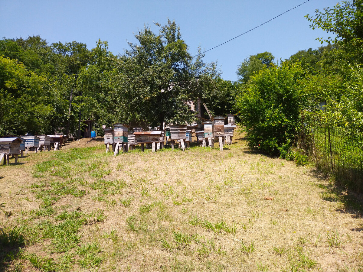 Фото автора канала