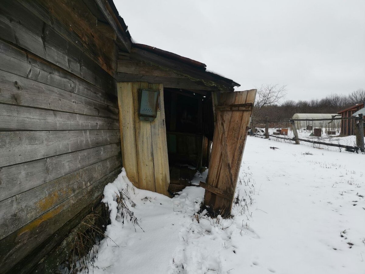 Фото от 18 апреля 2022 года 