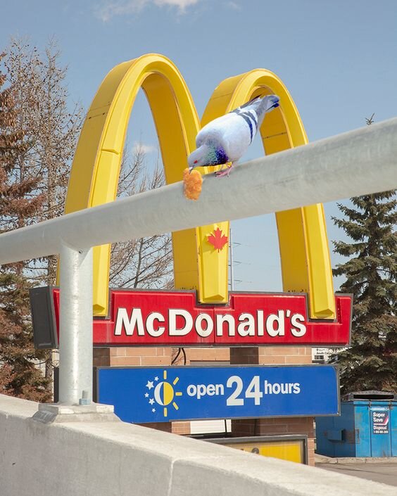 By Photographer Kyle Berger