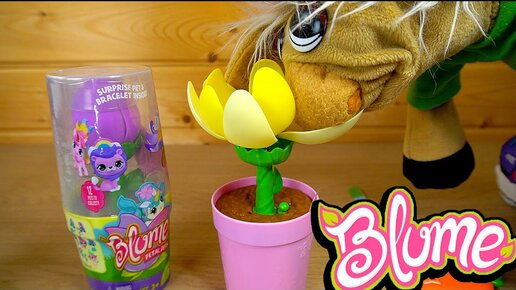 БЕСКОНЕЧНЫЙ ЦВЕТОК БЛЮМ Blume Petal Pets