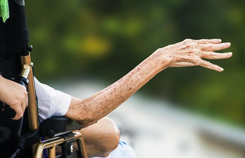 Фото: https://pixabay.com/