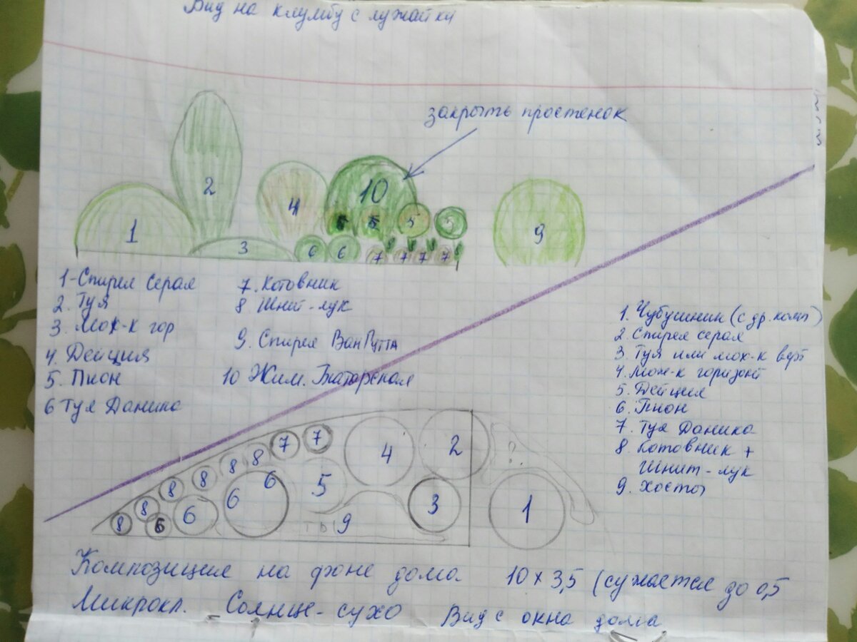 Что получается, если делать сад по шагам | Сад по-новому. Школа  ландшафтного дизайна Натальи Мягковой | Дзен