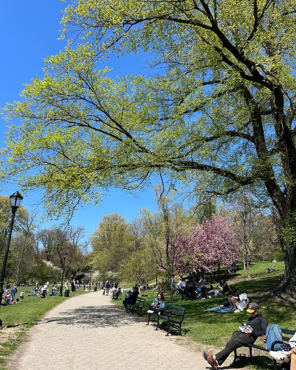 Фото автора. Prospect Park, Brooklyn