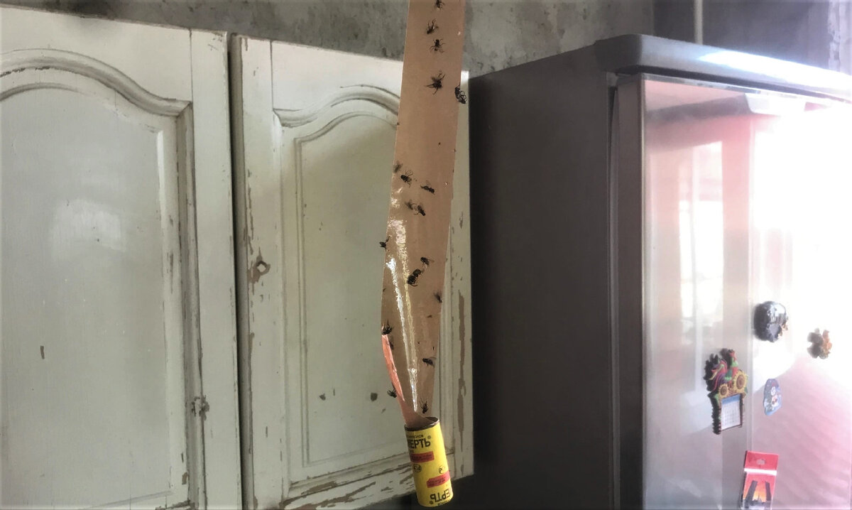 Подписывайтесь и ставьте "палец вверх"! Комментарии приветстсвуются!