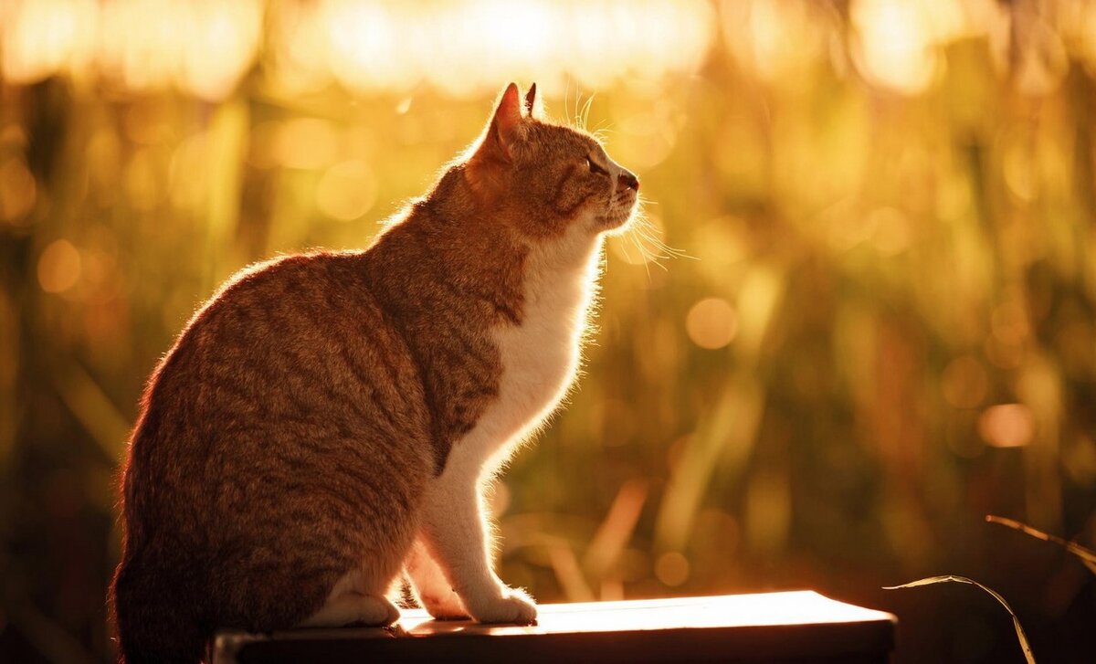     Погода решила, что красноярцы уже достаточно погрелись на солнце