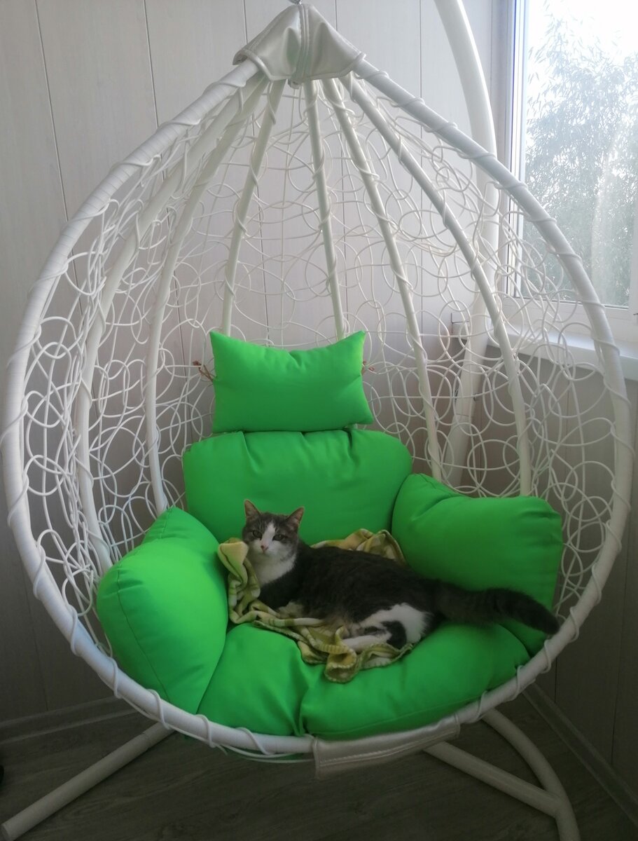 Фото автора.