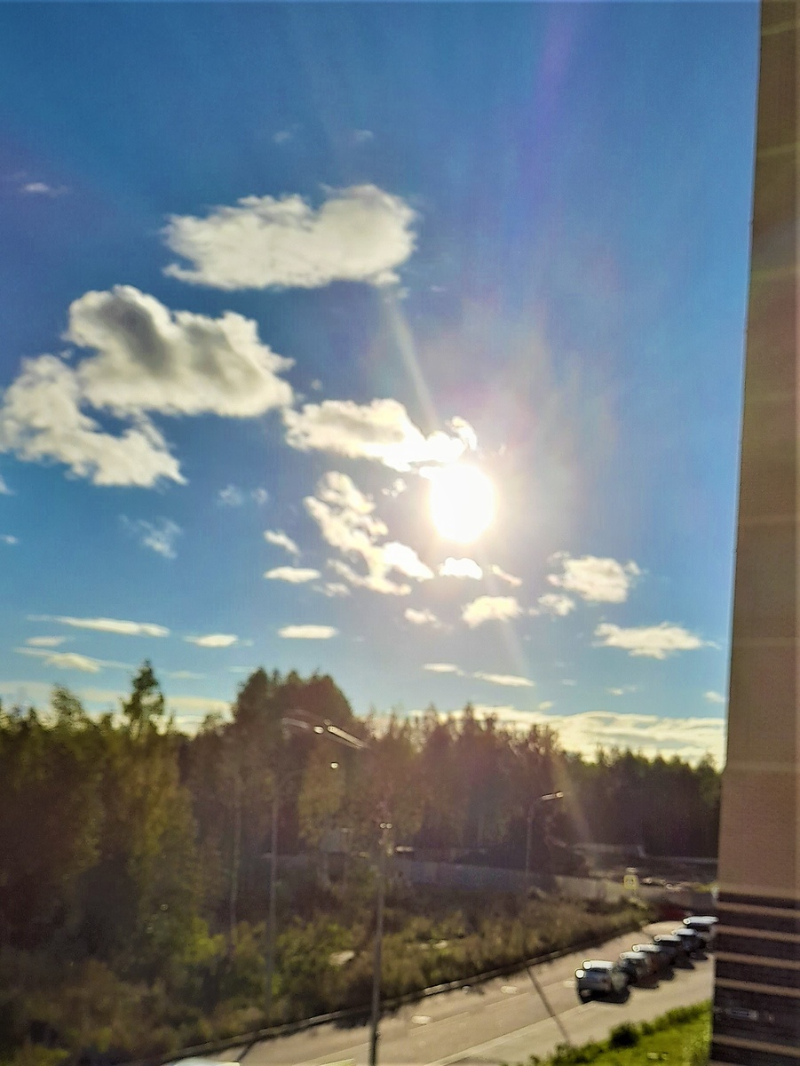 На четвёртый день дождались солнца🌞)