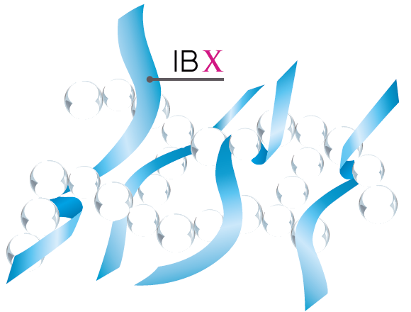 Что такое IBX