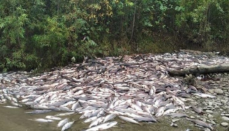 Фото: агроновости.рф