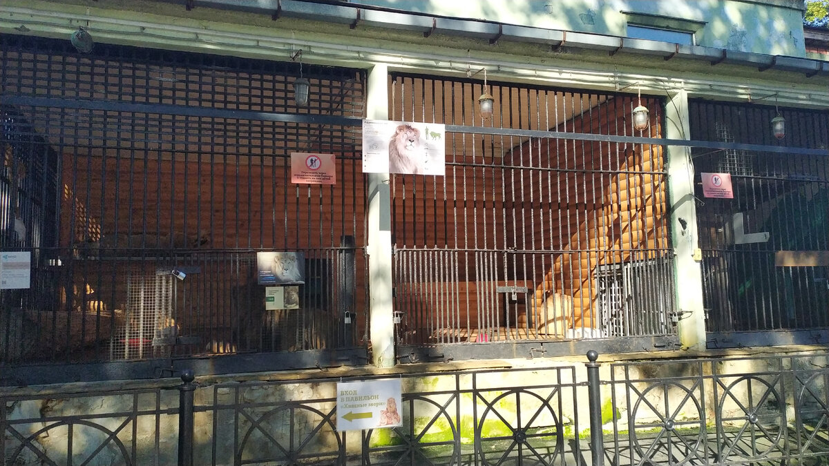 личное фото автора