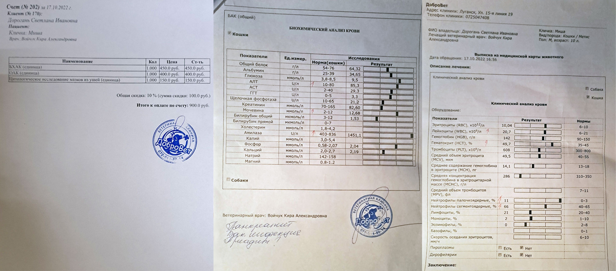 Результаты анализов крови.