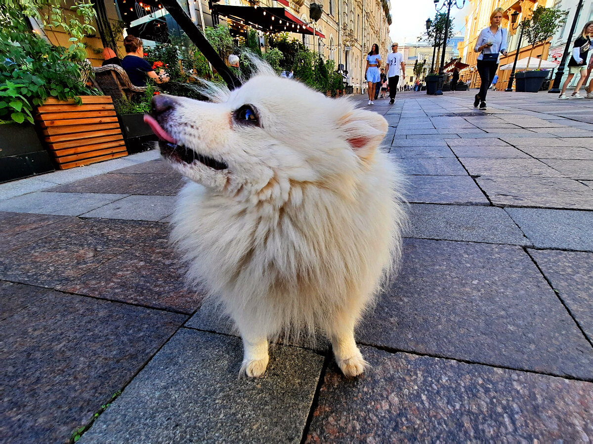 Бруно всегда готов к новым открытиям))