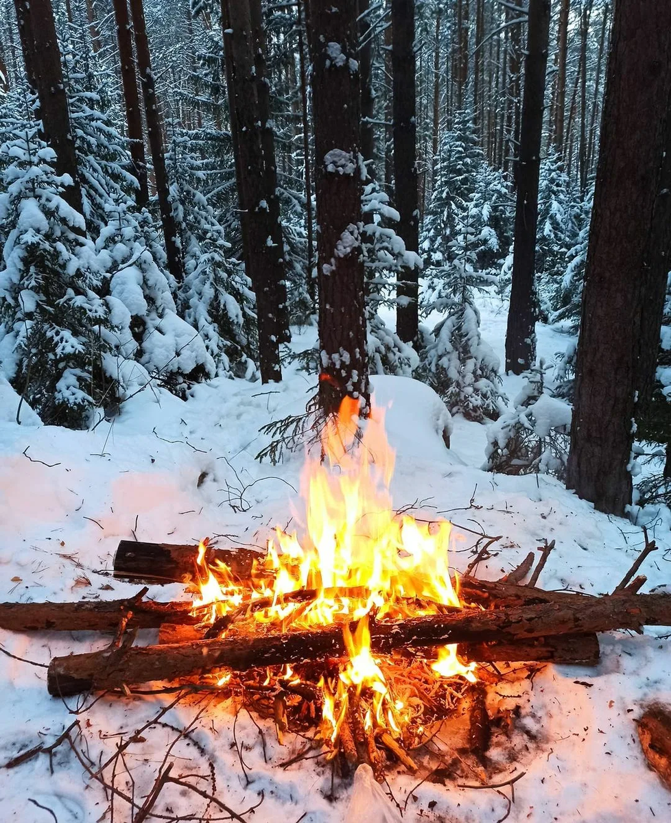 Яндекс.Картинки
