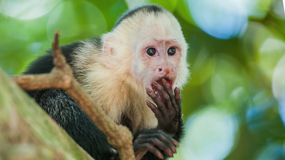   Фото: Shutterstock