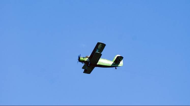    flickr/Борис Скопец