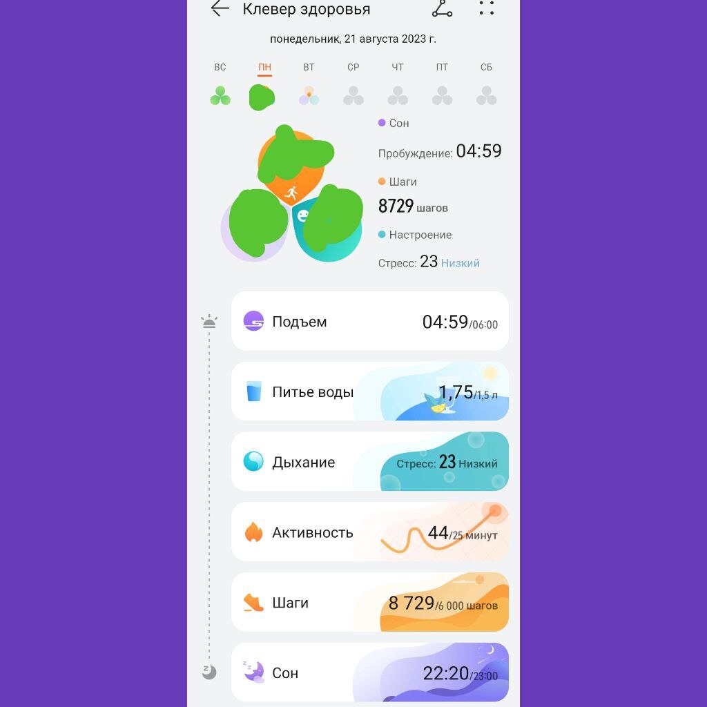 но я считаю, всё должно быть так, и никак иначе!