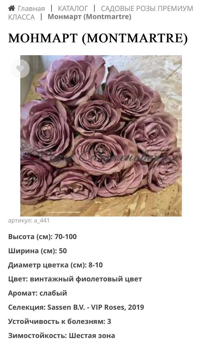 Фото питомника «розы вдохновения»