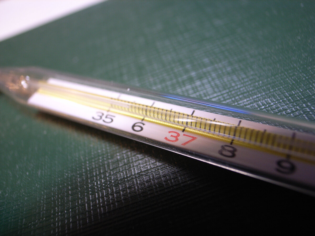 Toshiyuki IMAI – «Thermometer» / flickr.com