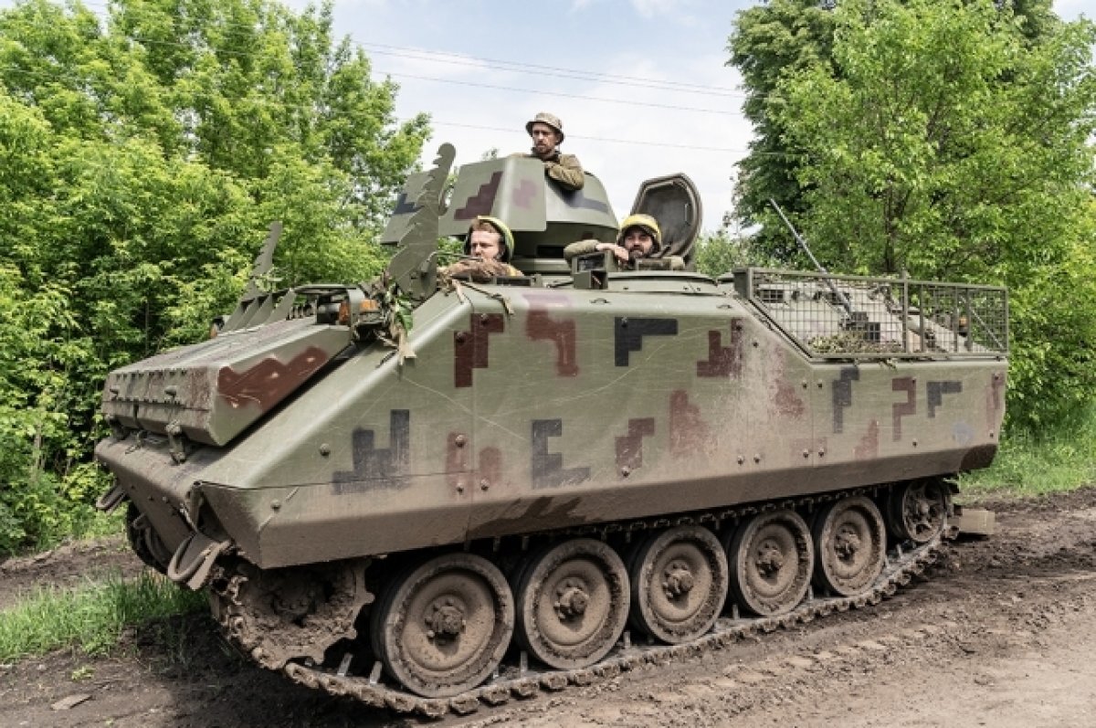    На Украине отменят отсрочку для мужчин-студентов старше 30 лет