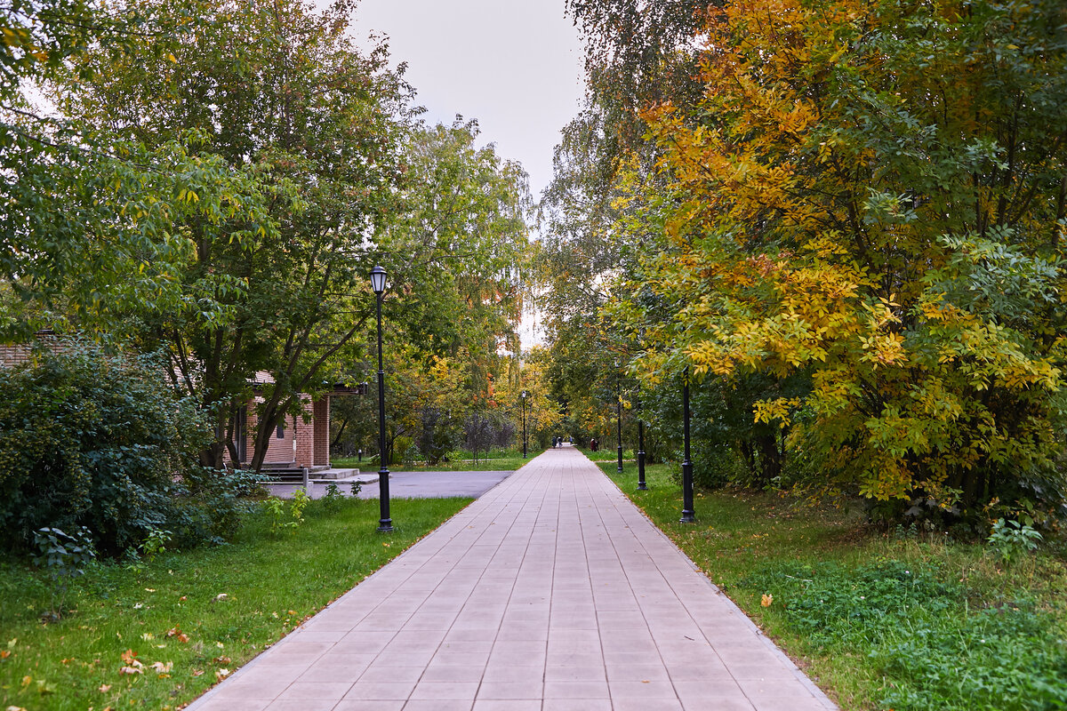 Парк «Березовая роща»