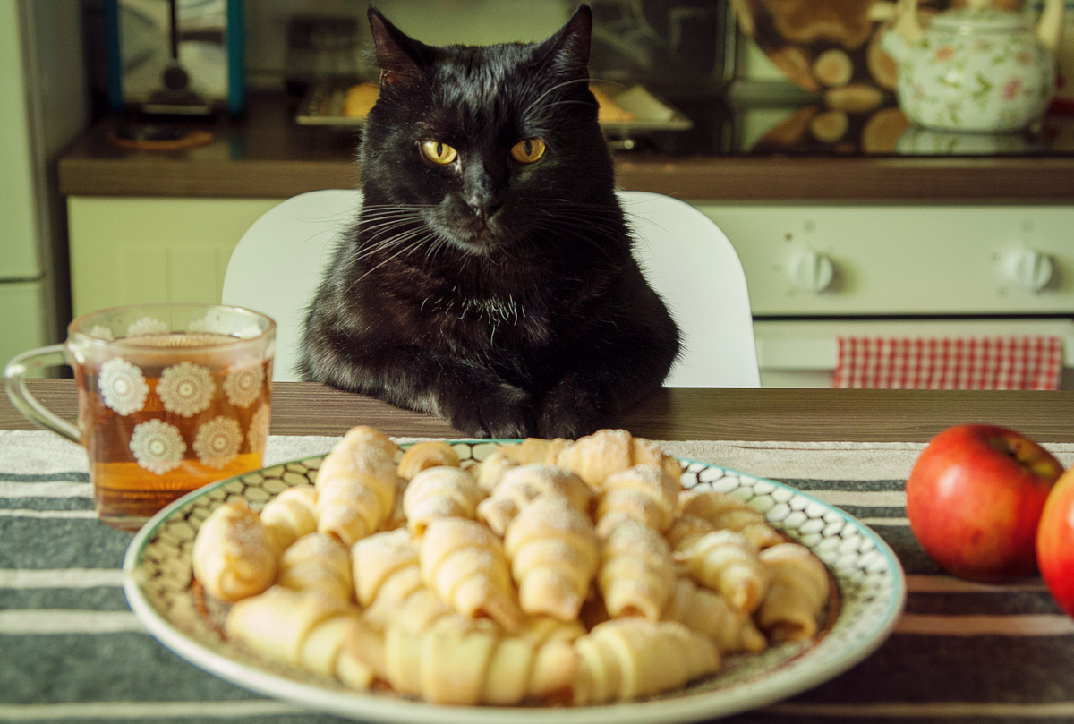 (Источник картинки - https://goo.su/5dbq)