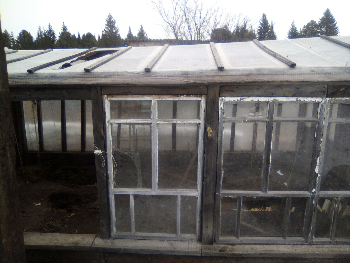 Вот такая у нас старая тепличка